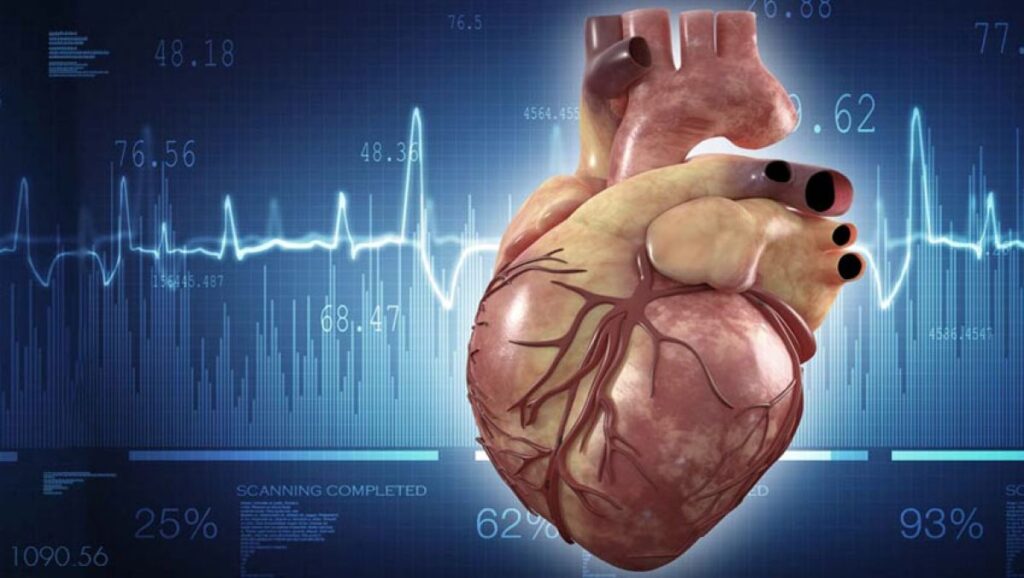 Doenças Valvares: Cuidando do seu Coração de Forma Especial!