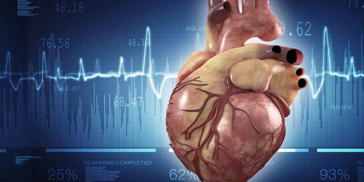 endocardite-imagem2-1200×677